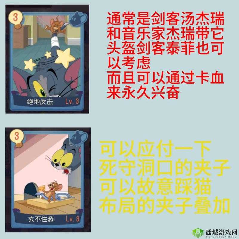 猫和老鼠手游猫方知识卡搭配攻略