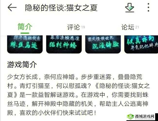 隐秘怪谈猫女之夏第章攻略详解