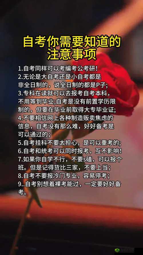 量近 2019 中文字需大全规须 1：你需要知道的一切