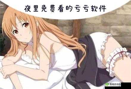夜里 18 款禁用的软件 app：满足你深夜需求的宝藏神器
