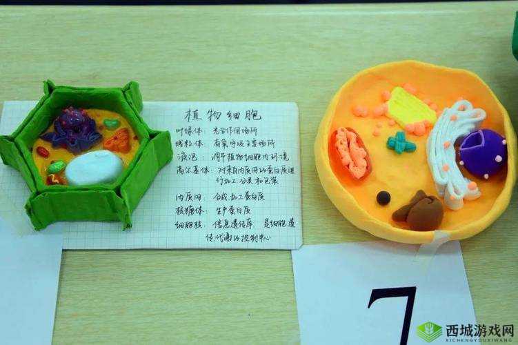 我成了生物课的教具：一段奇特经历