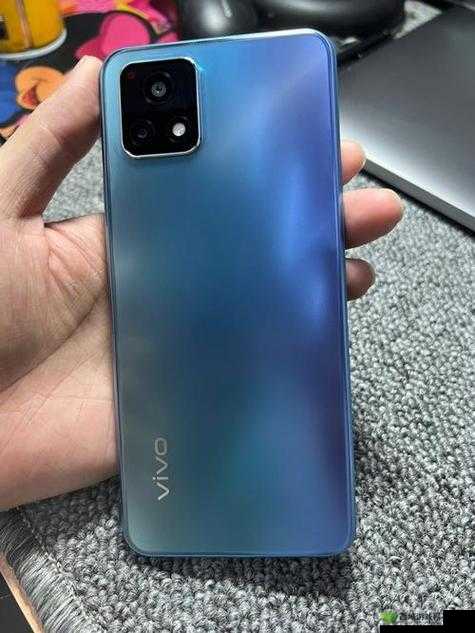 成色好的 Y31S 标准版视频：展示其独特魅力
