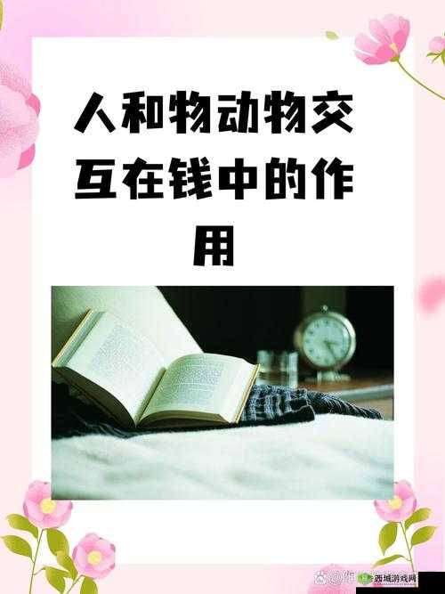 人和物动物交互在钱中的作用：影响与关联