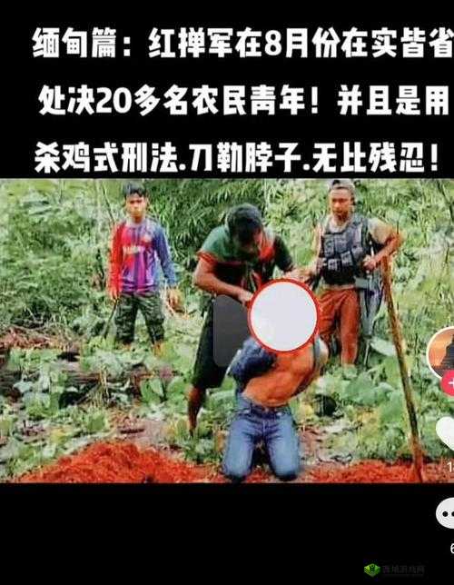 缅甸北部杀头血腥网站2023黑网：探秘其背后真相