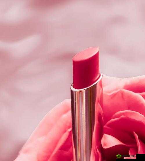 YSL 水蜜桃色推荐 868：迷人魅力无法挡