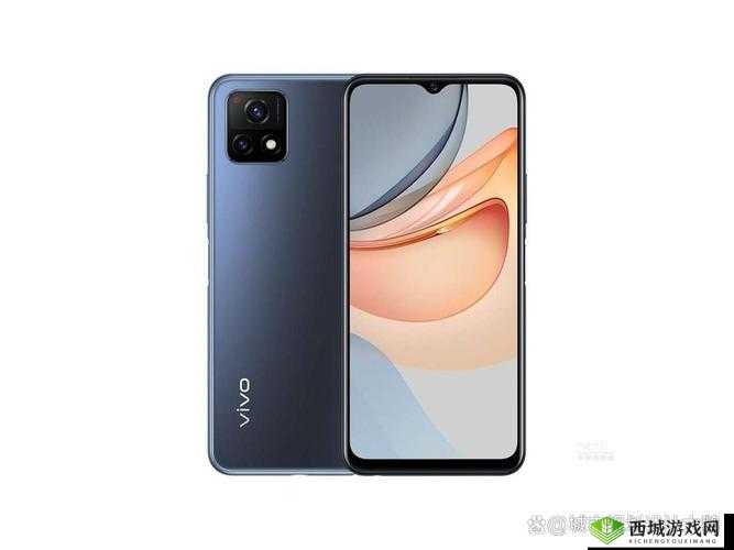 成色好的 Y31：品质卓越性能佳