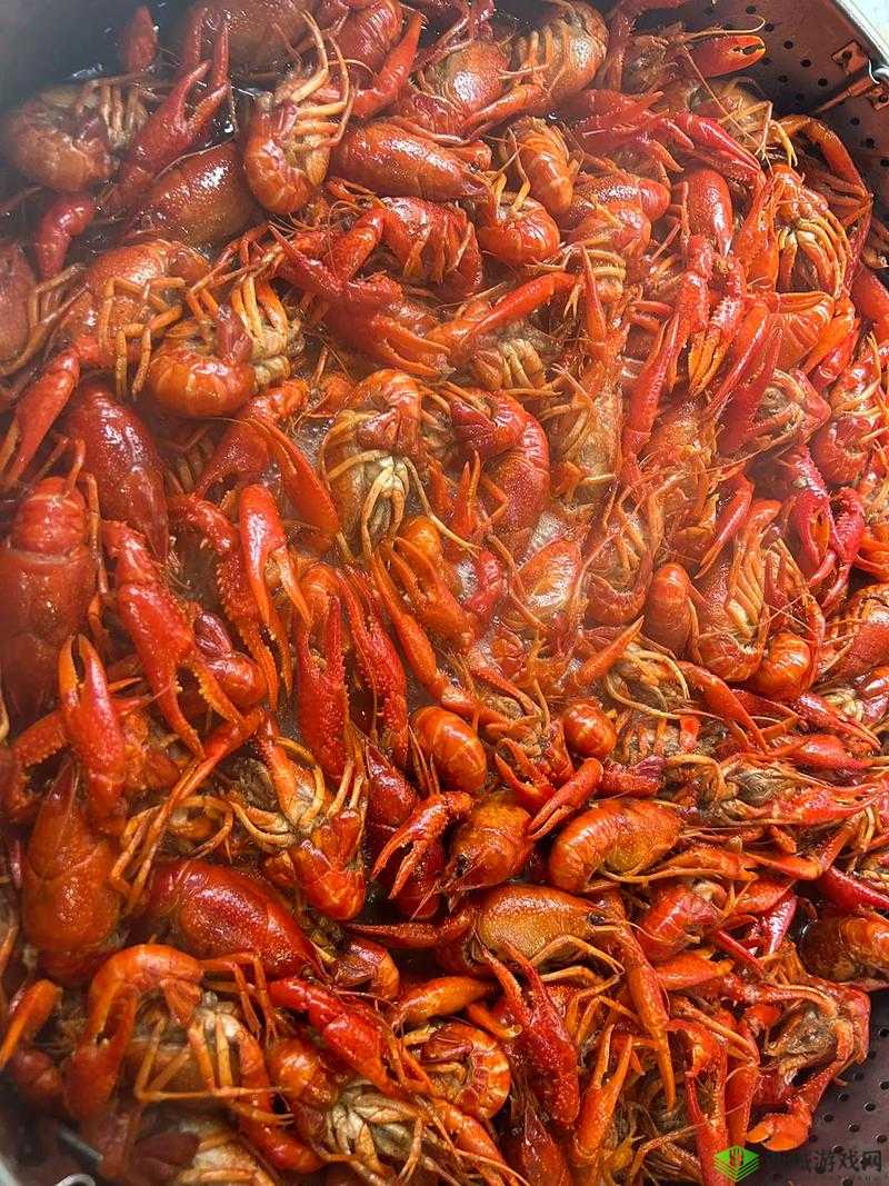 龙族幻想美食坐标大揭秘：探寻幻想中的味蕾盛宴之地