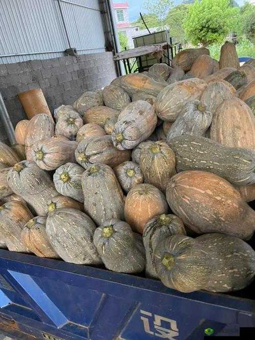 51 热门大瓜今日大瓜：震惊