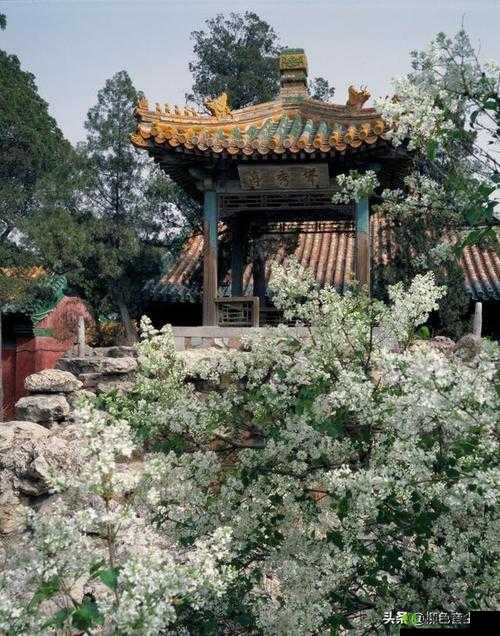 乾隆御花园 Hlh：美丽的皇家园林
