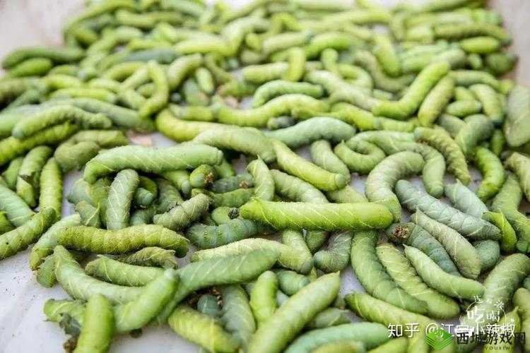 春潮里变酥变软所指究竟为何