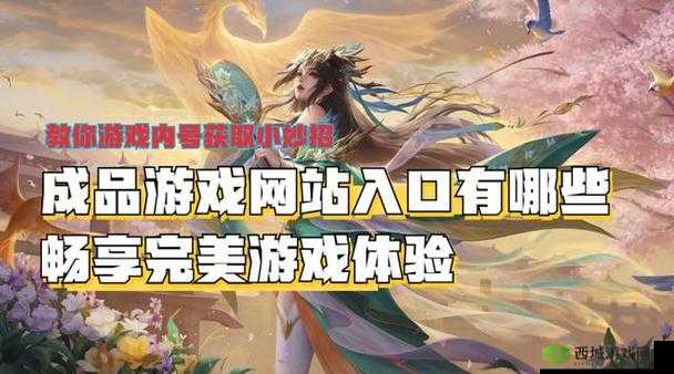 成品游戏网站入口：畅享精彩游戏世界