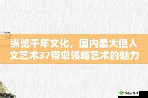 37大但人文艺术免费：你不可错过的精彩