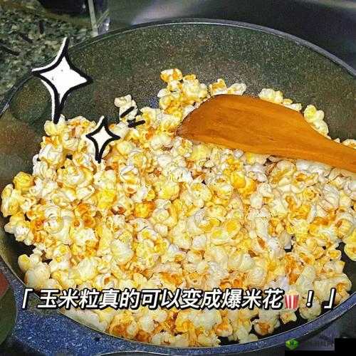 爆米花制作全攻略：安装与配置爆米花冲冲冲的详细步骤说明