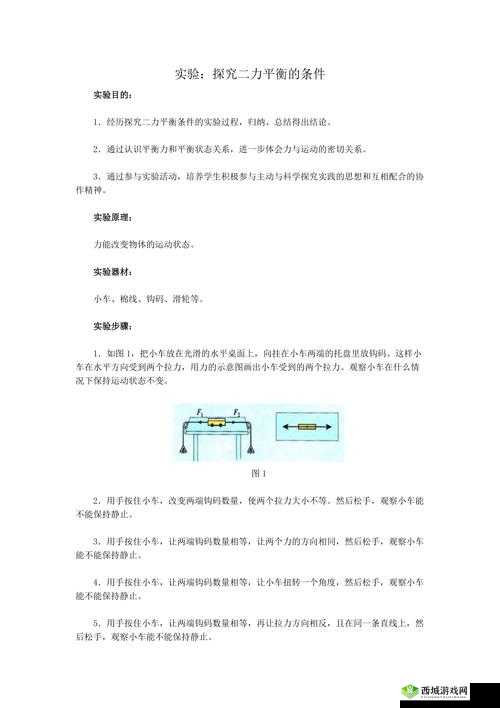 二精是什么意思：探究其含义