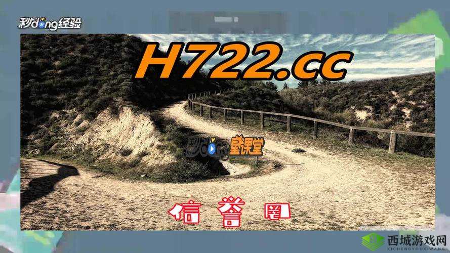 黄金网站 APP 视频播放画质选择：提升你的观看体验