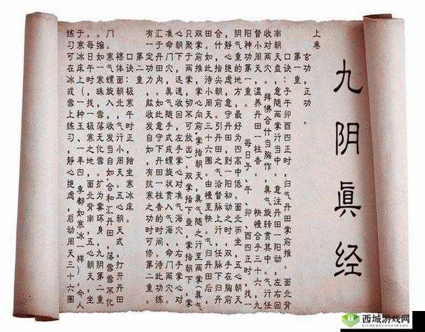 九阴真经 9yzj 网：武侠世界的神秘宝藏