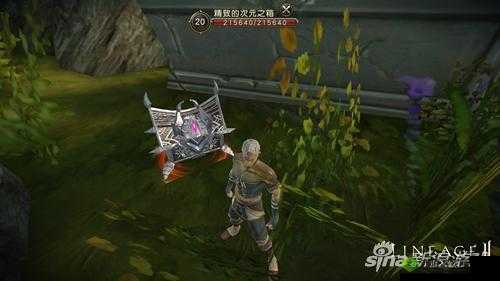 探索天堂 2 手游次元之箱，揭开最后一幅藏宝图的神秘面纱