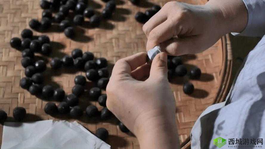 醉花阴萝卜药丸了：探寻其神秘面纱