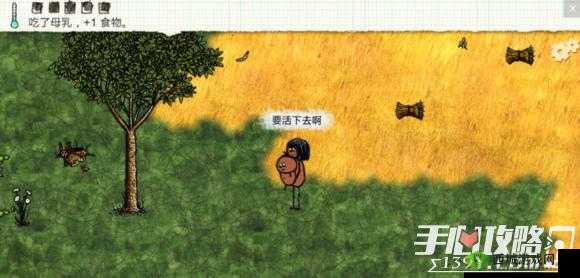 小时人生：纸的用途与纸的获取方法