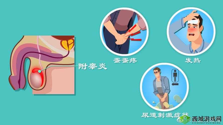 男生的小蛋蛋疼咋回事：可能的原因及应对