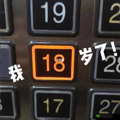 十八岁以上准备卫生纸转入：迎接新转变