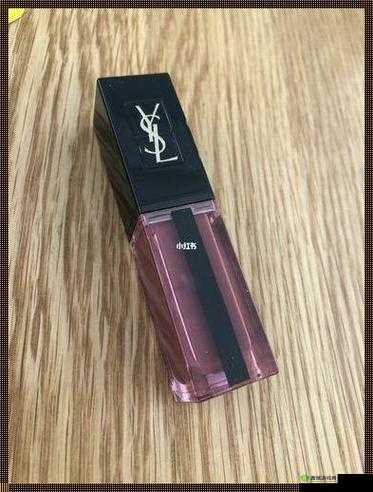 探索 ySl 千人千色 t9t9t9t9：揭秘美妆背后的秘密