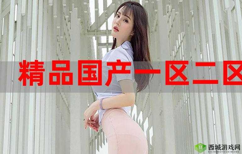 97 精产国品一二三产区区别视频详细解读