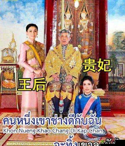 晨曦中的皇室赌局：王后赌局分支线任务攻略秘籍