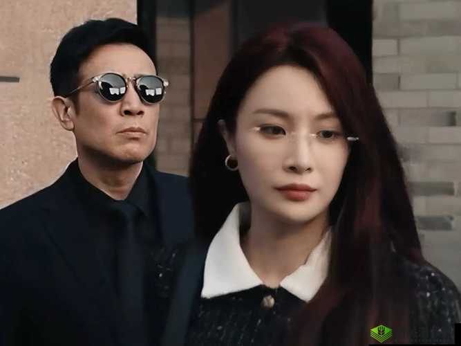 乱荡免费视频：精彩内容不容错过