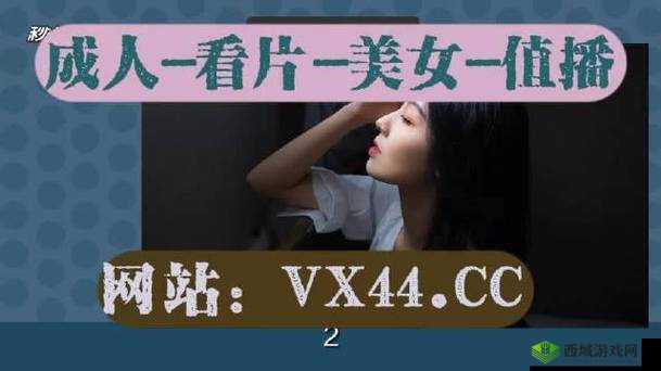 windowschannel 视频全新优化详解之要点