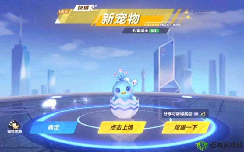 QQ 飞车手游孔雀明王是否值得购买？全方位解析其性能与价值