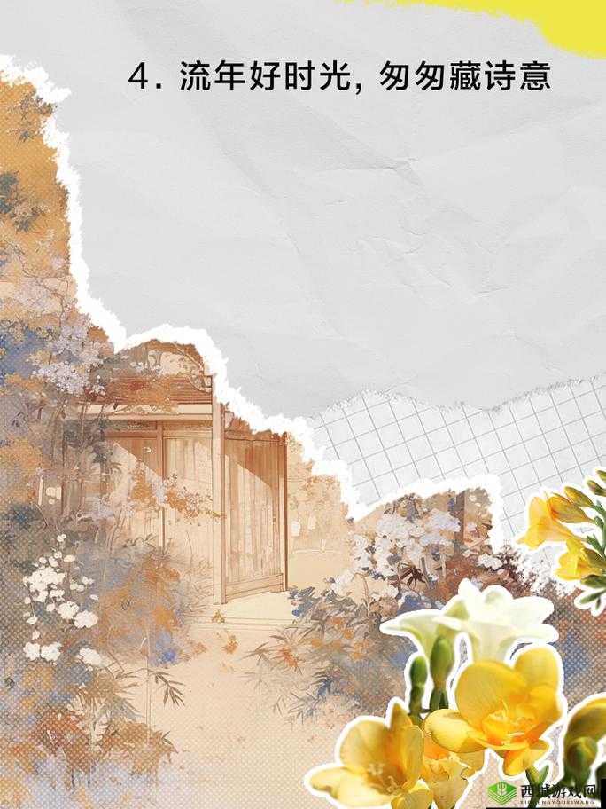 HDHDHDXXXX 复古：探寻旧日时光之美