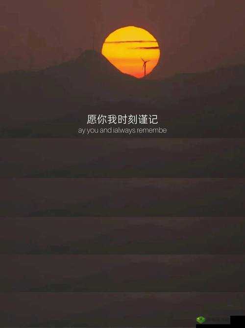 夜半一对一聊天：心灵的私密倾诉时刻