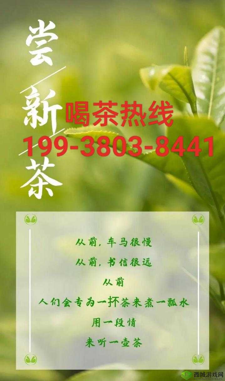 三亚新茶嫩茶 wx：享受清新茶饮时光