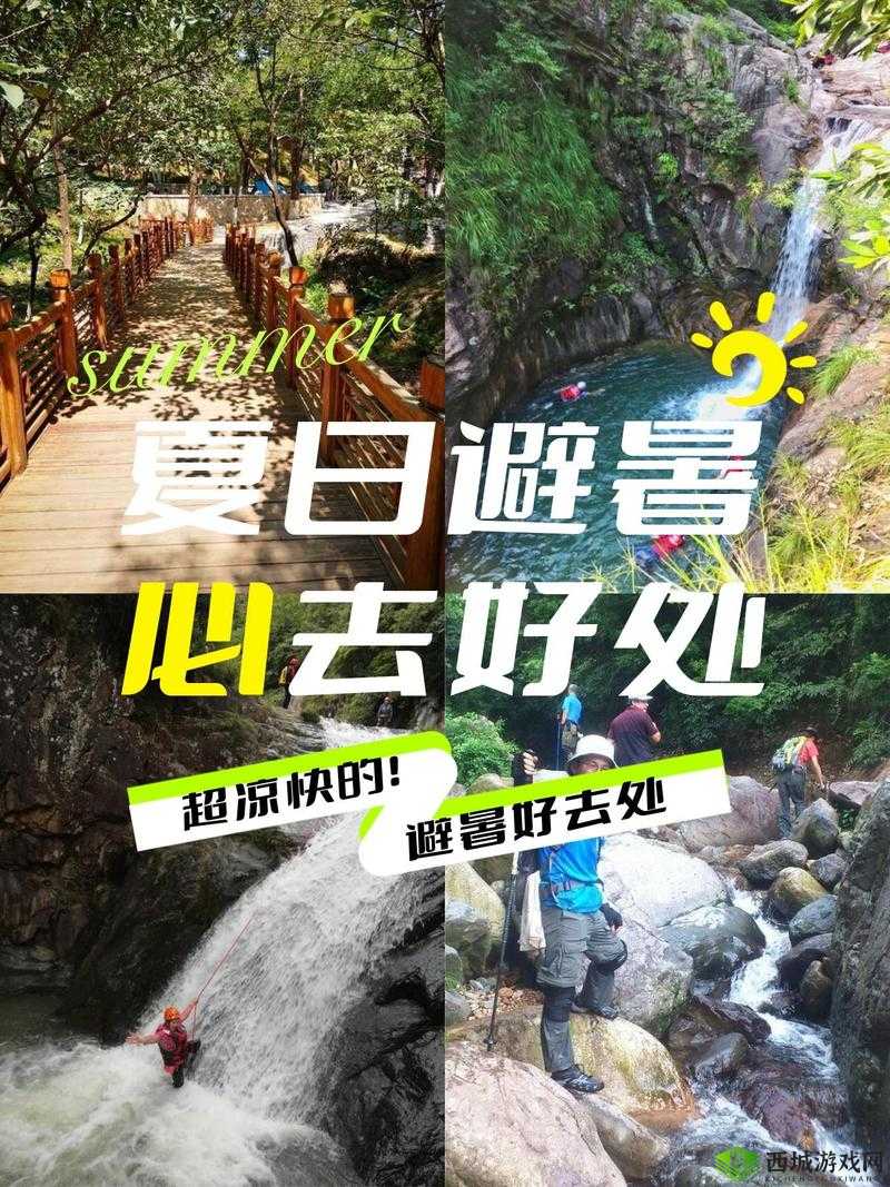 天堂在线：全新体验等你来