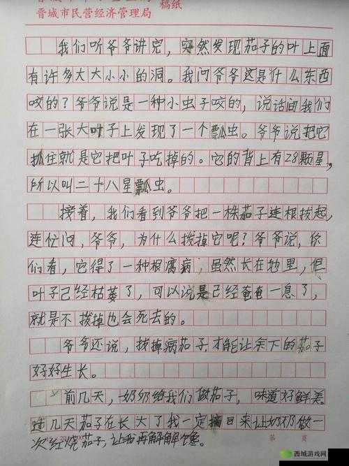 第一次用茄子的独特感受