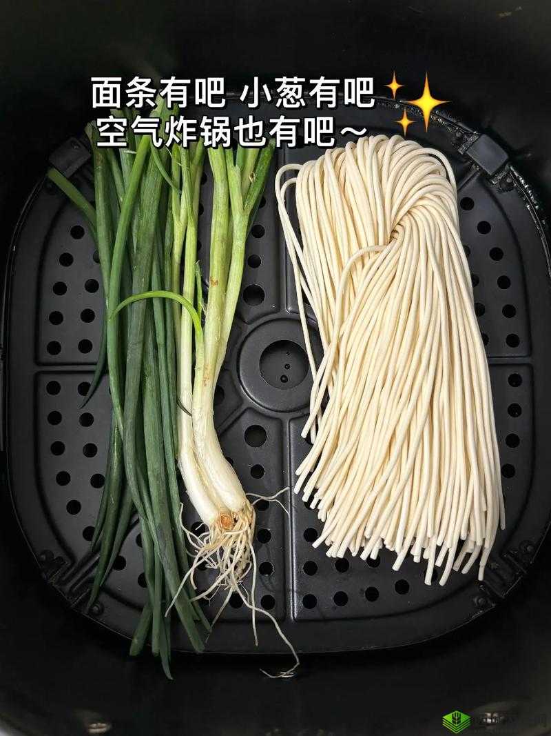 大香煮 2024 一人一煮：使用方法详解