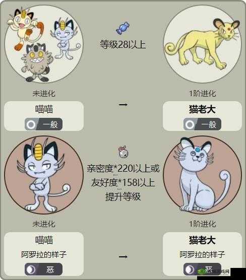 宝可梦大探险，全面解析剑山原野猫老大高效打法与策略攻略