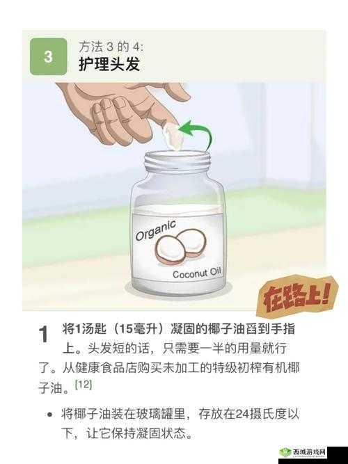 小动物之星游戏中椰子的多样化用途及实用技巧全面介绍