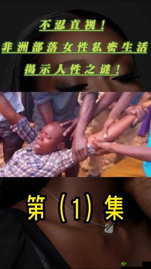 探寻非洲忌讳之谜：1-4 的惊人秘密