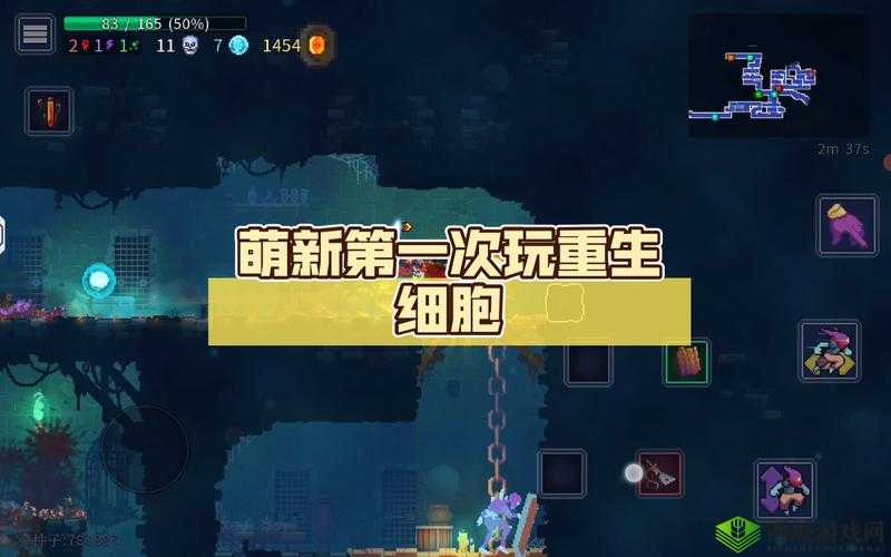 重生细胞声波弩，探索游戏深处，解锁隐藏武器的奇妙冒险之旅
