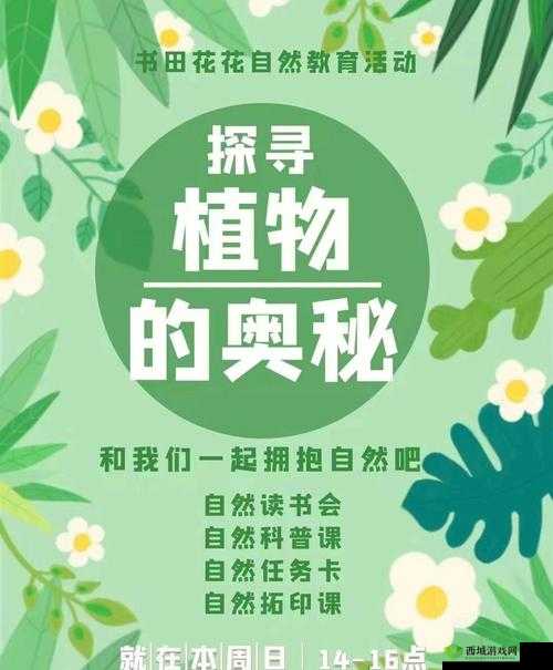 抬头看镜子里的接合处：探寻那隐藏的奥秘