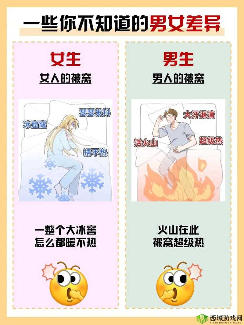 男生和女生差差：探究男女生之间差异的表现与原因分析