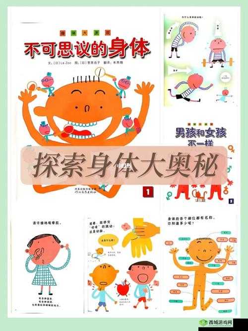 老妇女的大 BwBwBwB：探索身体奥秘的旅程