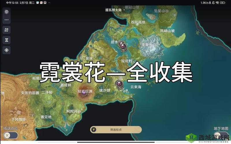探索原神世界，揭秘珍贵之花霓裳花的独特魅力与获取方法
