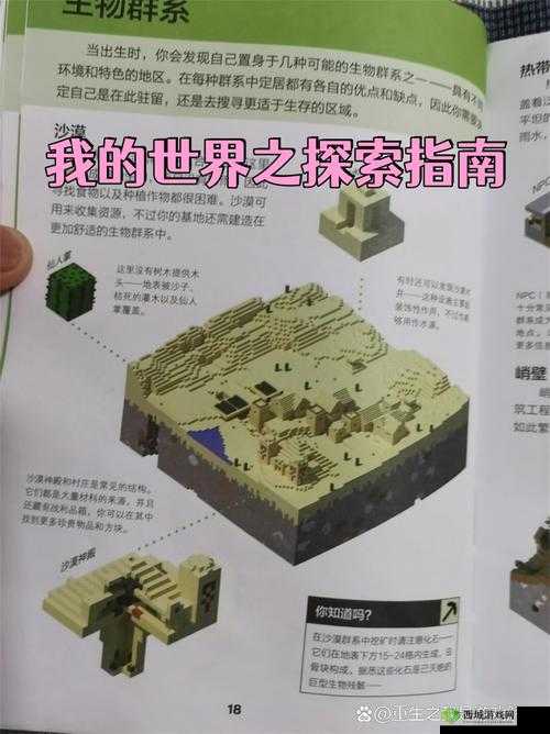 插我一区二区在线观看：探索未知的私密世界
