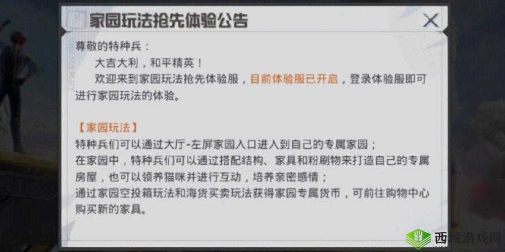和平精英特训岛全新玩法深度解析，资源管理技巧、高效利用策略及价值最大化指南