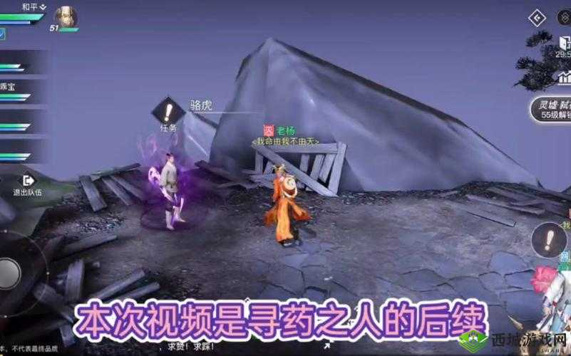 天谕寻药之人，一场跌宕起伏、充满意外反转的奇幻冒险之旅
