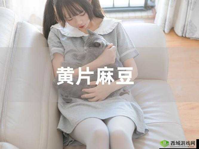 麻豆一二三区 AV 传媒：探索成人影视世界的精彩