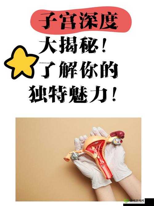 三个人也不错1V2有什么看点：深度剖析其独特魅力所在